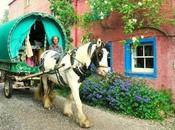 Transport