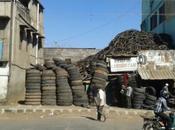 DAILY PHOTO: Scrap Rubber