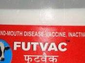 DPRK Requests Assistance Combat Outbreak