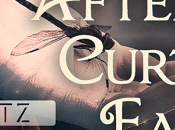 After Curtain Falls Ainsley Shay: Book Blitz