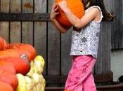 People Pumpkins Juker Farm, Switzerland.