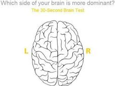 Right- Left-brained?