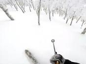 Watch: Scary Video This Skier Racing Will Make Scream