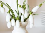 Sunday Bouquet: Fragrant Snowdrops