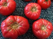 Seed Saving 101: Isolation Distances Planning Your Garden