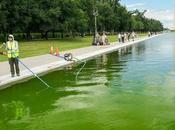 Reflecting Pool
