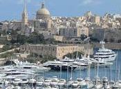 Maltese International Double