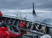 Japanese Whalers Attack Shepherd Vessels Again