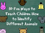 Ways Teach Children Identify Different Animals