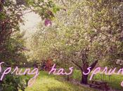 Spring Sprung