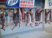 Welcome Hell, Coyote Hunters