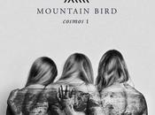 Mountain Bird "Violent Night"