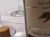 Hungary's Etyek-Buda Wine Region Nyakas Pince