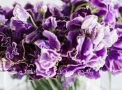 Sunday Bouquet: Violet Sweet Peas Clear Glass