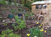 Garden This Weekend 16th March 2014