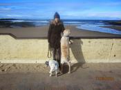 Happy Patrick's Day!!