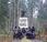 Cascadia Forest Defenders Promise Action Elliott State Privatization