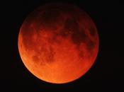 Astrology Lunar Eclipse April 2014 Emotional Pressure Cooker