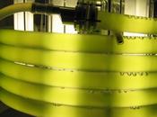 Algae Work Biofuel Source Even Cold Climates