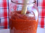 Homemade Ketchup (Free High Fructose Corn Syrup)