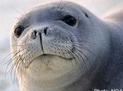 Urge Congress Protect Conservation Funding! Defenders Wildlife