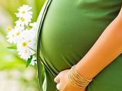 Pregnancy Eating Eggs