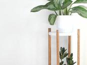 Room Room: Plant Stands