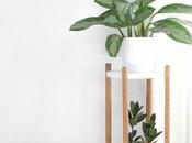 Room Room: Plant Stands