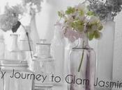 Journey Michael Kors Glam Jasmine