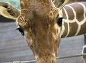 Tough Decisions Front Line Nature Conservation