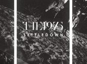 1975 “Settle Down” (EMBRZ Remix)