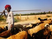 Journey Rural Backdrop Rajasthan