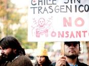 Chile Derails “Monsanto Law” That Would Privatize Seeds