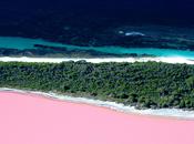 Pink Lake Picture