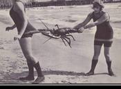 Dream Crustacean People Blood Vampires