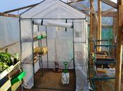 2014 Season March Greenhouse Within Greenhouse.
