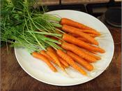 Carrots Protective Measures Smaller Scale