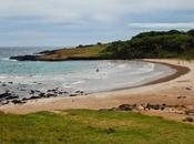 Travel’s Version “Choose Your Adventure” GoPro Style!