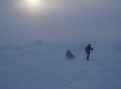 North Pole 2014: Americans Hitting Their Stride