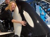 SeaWorld Whales Pumped with Valium Xanax Control Their Aggressive Behavior