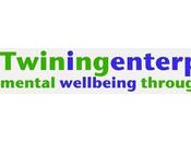 Blogging Twining Enterprise