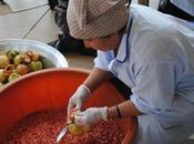 Fair Trade Lebanon: Supporting Lebanese Farmers Remote Areas