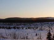 Native Trappers Defend Canada Forests from Logging