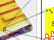 Study Reveals Causes Dye-Sensitized Solar Cell Degradation