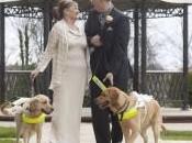 ‘Puppy Love’ Couple Marry After Guide Dogs ‘fell