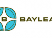 Bayleaf Software Inc.