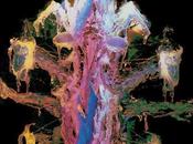 Track Day: Diaphanoids: 'LSME'