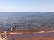 Seaside Saturdays....