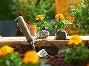 Make Your Garden Even Greener with B&amp;Q*
