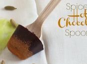 Spiced Chocolate Spoons